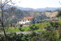 MontIs37