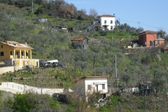 MontIs41