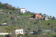 MontIs43