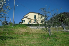 MontIs49