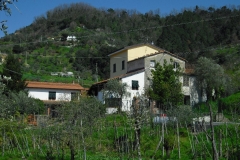 MontIs52