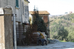 MontIs54