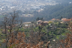 MontIs6