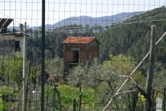 MontIs68