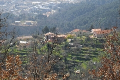 MontIs7