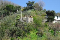 MontIs75