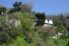 MontIs76