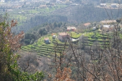 MontIs8