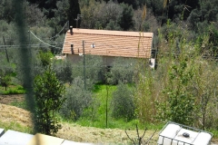 MontIs83