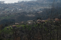 MontIs9