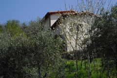 MontIs92