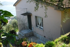 MONTALE11