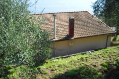 MONTALE11bis