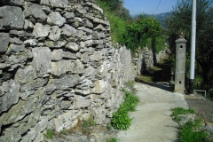 MONTALE12