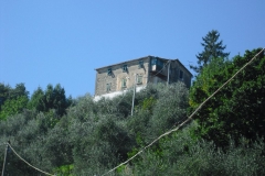 MONTALE13