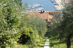 MONTALE13bis