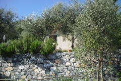 MONTALE14