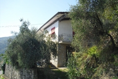 MONTALE15