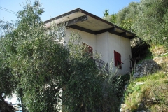 MONTALE15bis