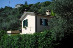 MONTALE17