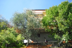 MONTALE18bis