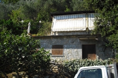 MONTALE19