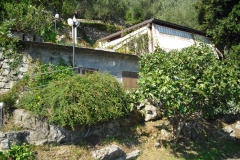 MONTALE19bis