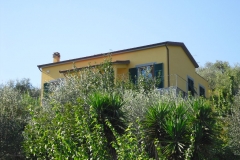MONTALE1bis