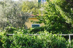MONTALE2