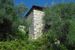 MONTALE21