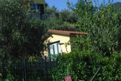 MONTALE2bis