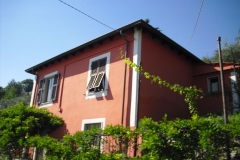 MONTALE4
