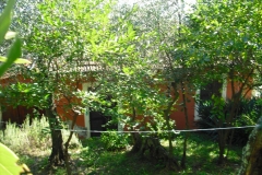 MONTALE4ter