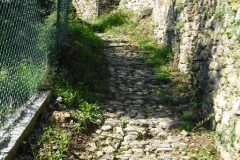 MONTALE6