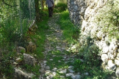 MONTALE6bis