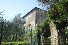 MONTALE7