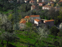 Montefosco