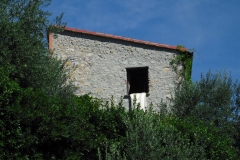 MURLO1bis