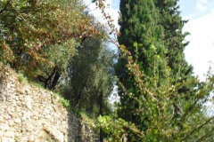 OLM21quatuor