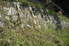 OLM4