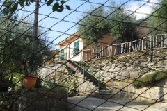 OLM5
