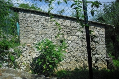 OLM9bis