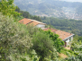 Parodi