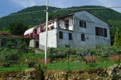 PARODI22ter