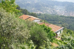 PARODI31ter