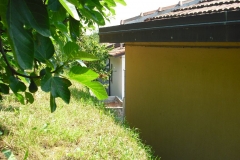 PARODI32