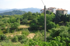 PARODI7
