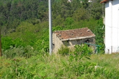 Pian11