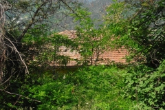 Pian12