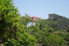 Pian19